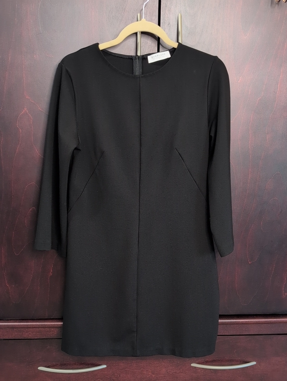 Everlane Dress 10